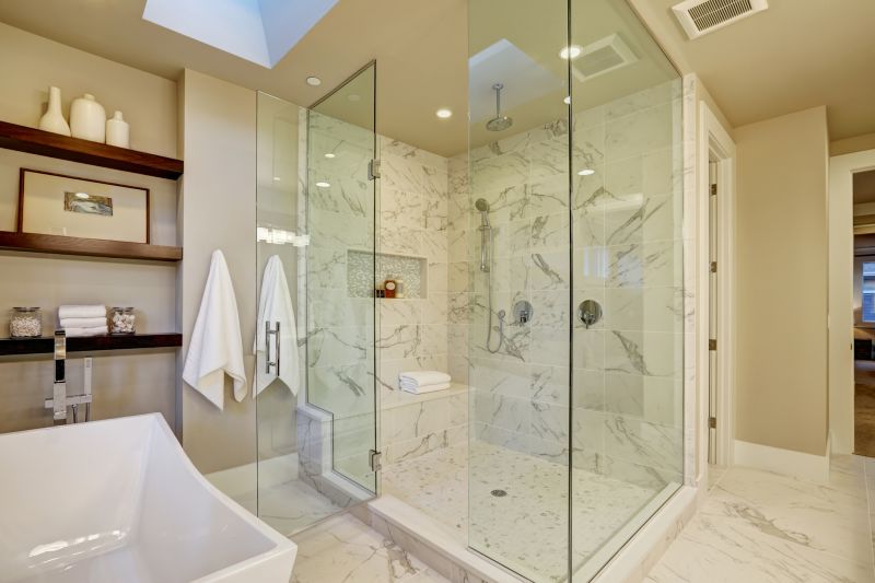 Contemporary Shower with Rainhead