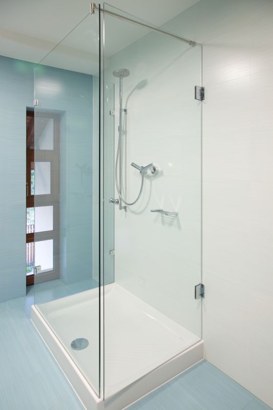 Modern Shower with Frameless Glass